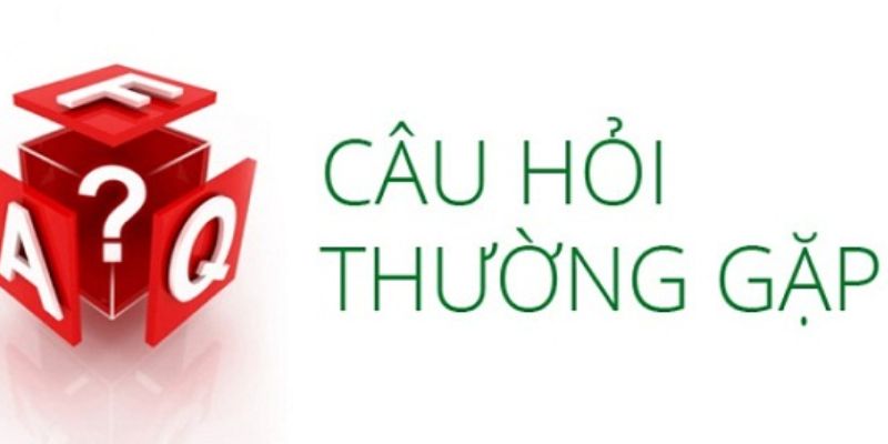 Giới thiệu về các câu hỏi thường gặp 8DAY